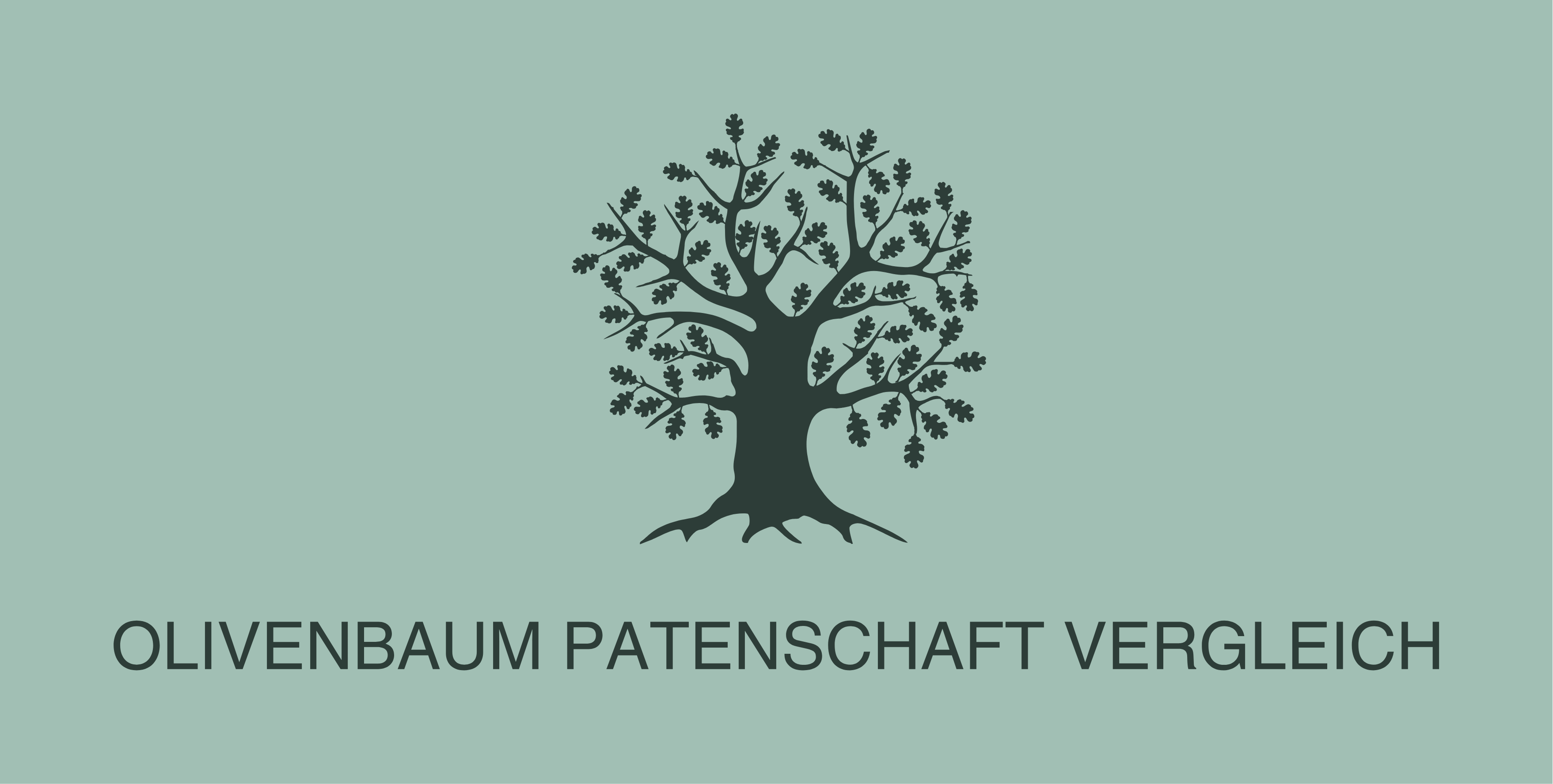 Olivenbaum Patenschaft Vergleich